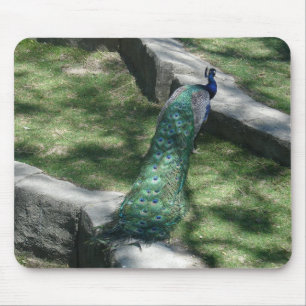 peacock mouse mat
