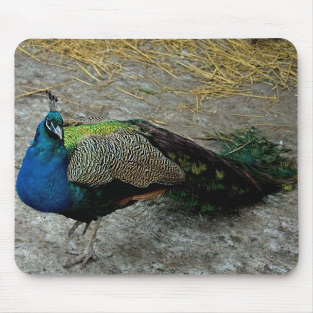 Peacock Mouse Mat (Front)