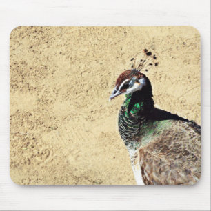 Peacock Mouse Mat