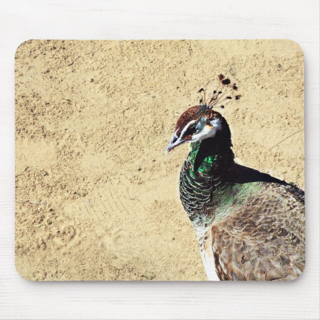Peacock Mouse Mat (Front)