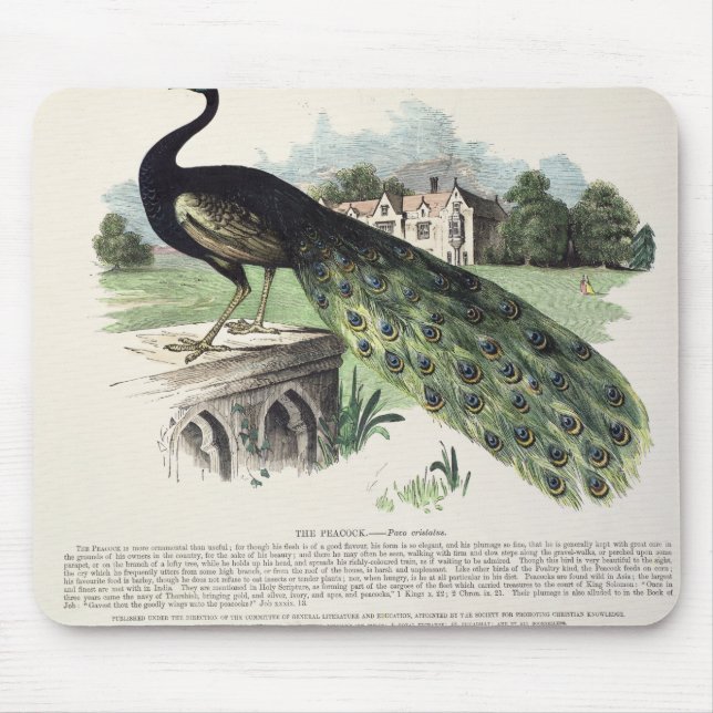 Peacock Mouse Mat (Front)