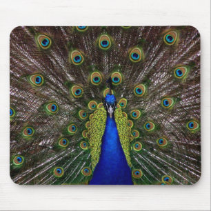 Peacock Mouse Pad