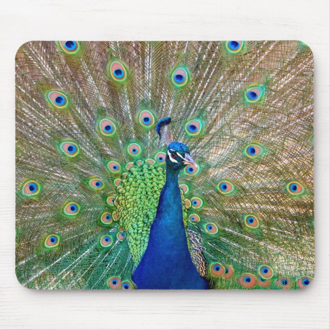 Peacock Mouse Pad (Front)