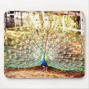 Peacock Mouse Pad
