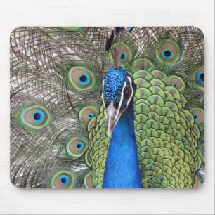 Peacock Mouse Pad