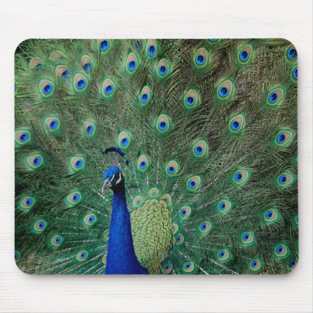 Peacock, mousepad (Front)