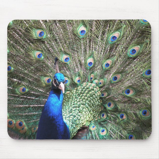 Peacock Mousepad (Front)