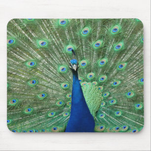Peacock Mousepad