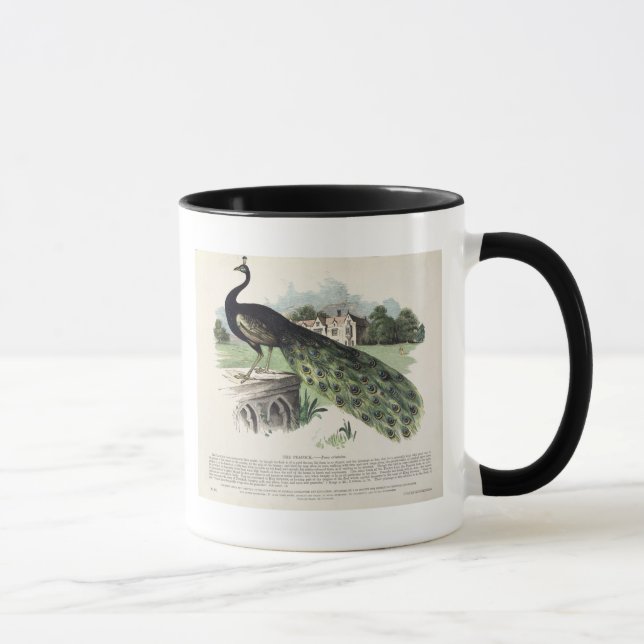 Peacock Mug (Right)