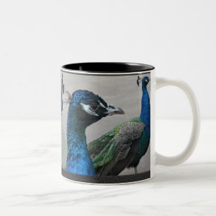 Peacock Mug