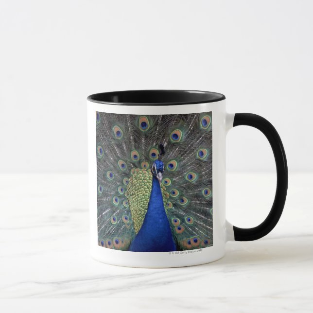 Peacock Mug (Right)