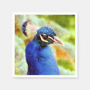 PEACOCK   NAPKIN