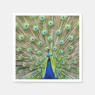 Peacock napkins