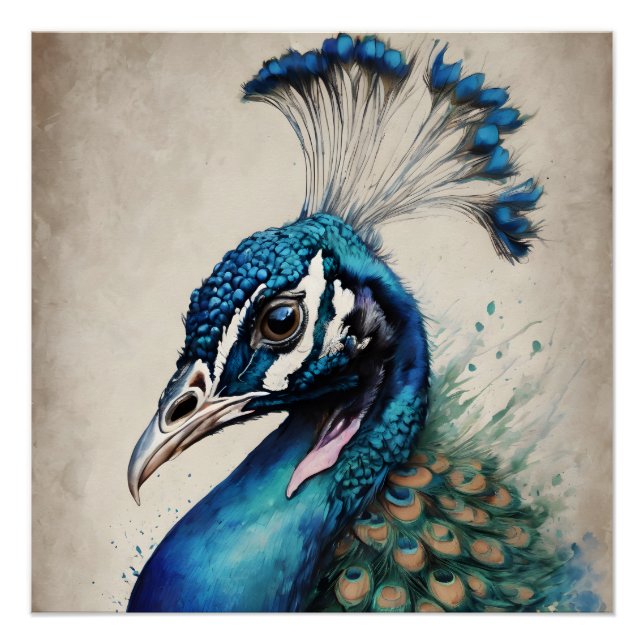 Peacock no 6 Glossy Poster (Front)