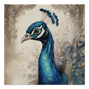Peacock no 7 Glossy Poster