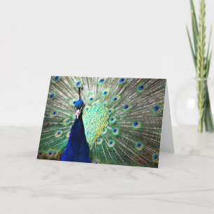 Peacock Note Card