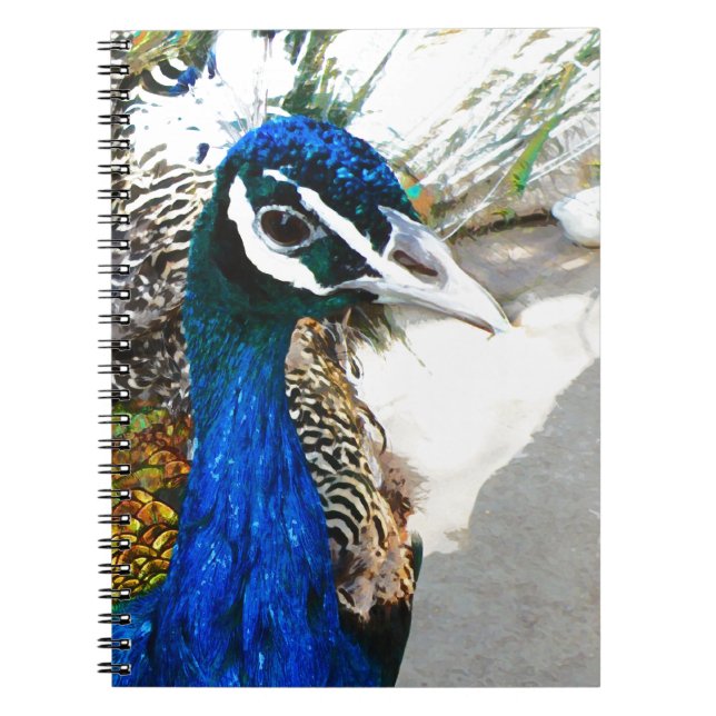 Peacock Notebook (Front)