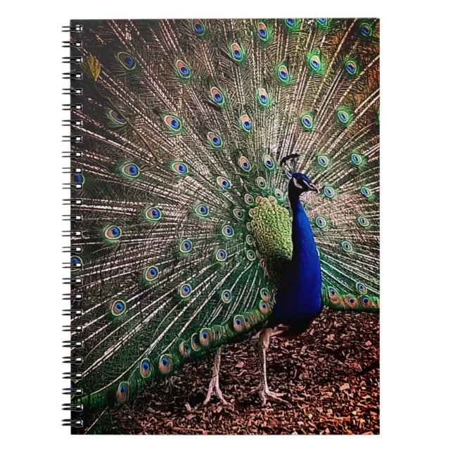 Peacock Notebook (Front)