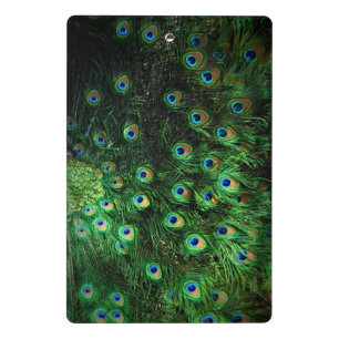peacock notebook mini clipboard