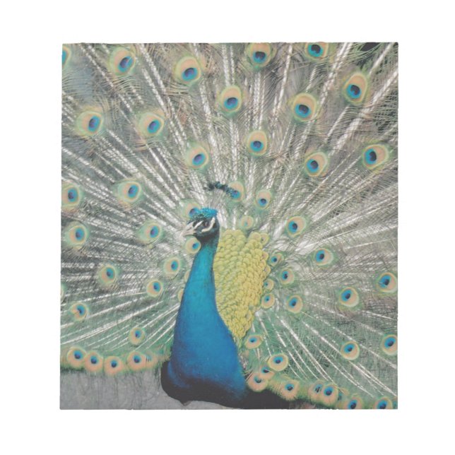 Peacock Notepad (Front)