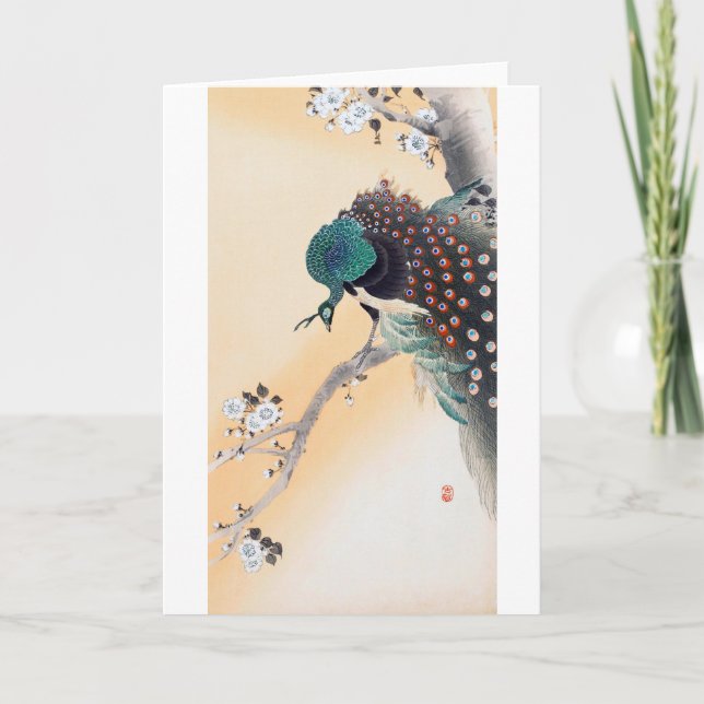 Peacock on a Cherry Blossom Tree, Ohara Koson Card (Front)