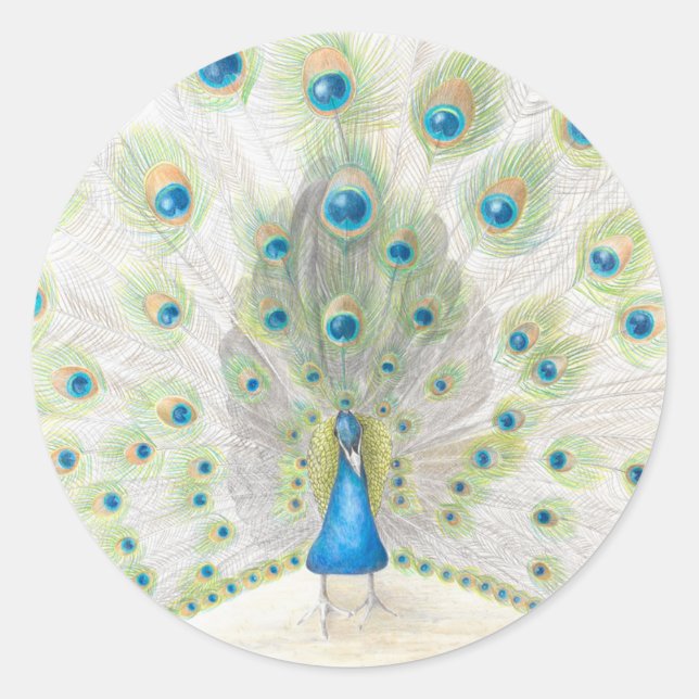 Peacock on a round sticker (Front)