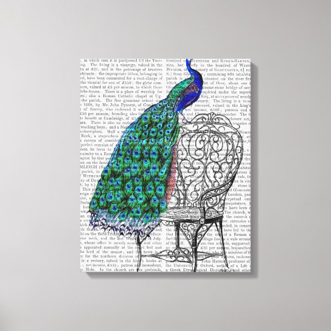 Peacock on Chair Canvas Print (Front)