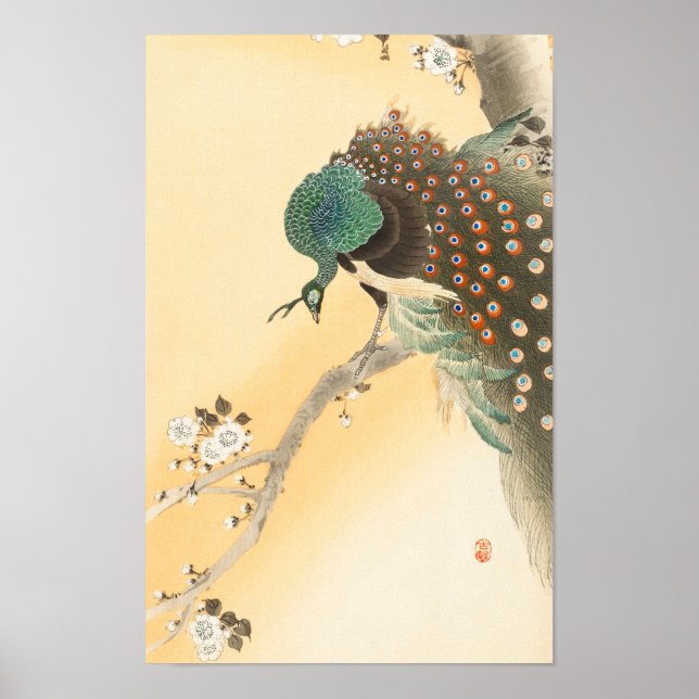 Peacock on Cherry Blossom Tree by Ohara Koson Poster (Front)