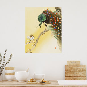Peacock On Cherry Blossom Tree Poster