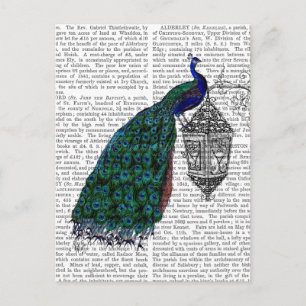 Peacock On Lamp Postcard