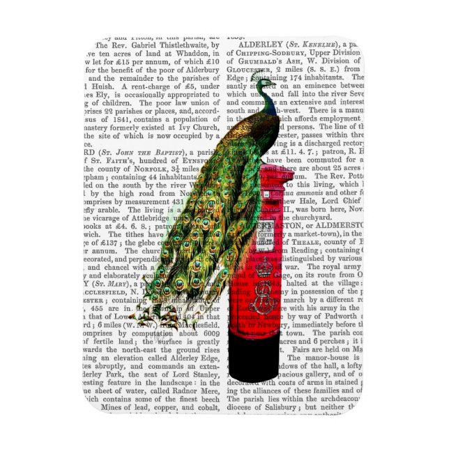 Peacock on Postbox Magnet (Vertical)
