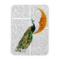 Peacock on the Moon