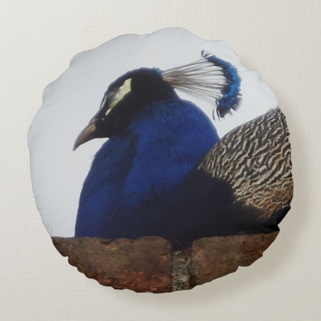 Peacock on The Wall Round Pillow (Back)