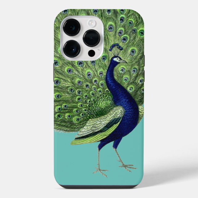 Peacock Open Fan iPhone Case (Back)