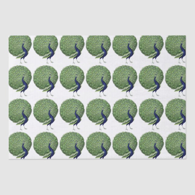 Peacock Open Fan Tissue Paper (Front)