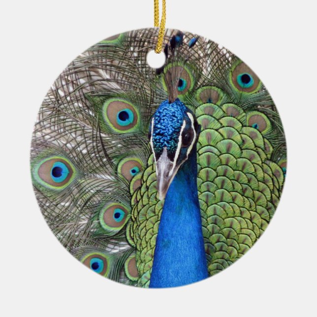 Peacock Ornament (Front)