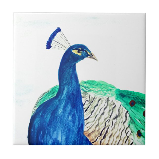 Peacock Painted Watercolor Bird Kitchen Rustic Tile (Front)