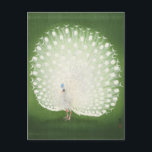 Peacock Painting by Ohara Koson Postcard<br><div class="desc">Peacock (1925-1936) Painting by Ohara Koson</div>
