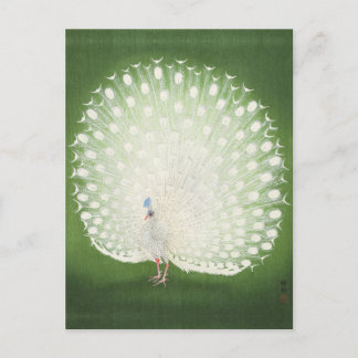 Peacock Painting by Ohara Koson Postcard