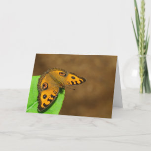 Peacock Pansy Butterfly Card