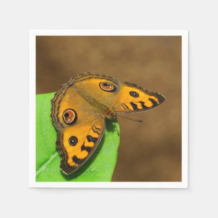 Peacock Pansy Paper Napkin