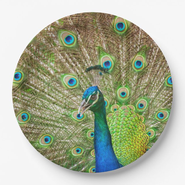 Peacock Paper Plate (Front)