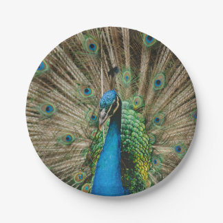 Peacock Paper Plate