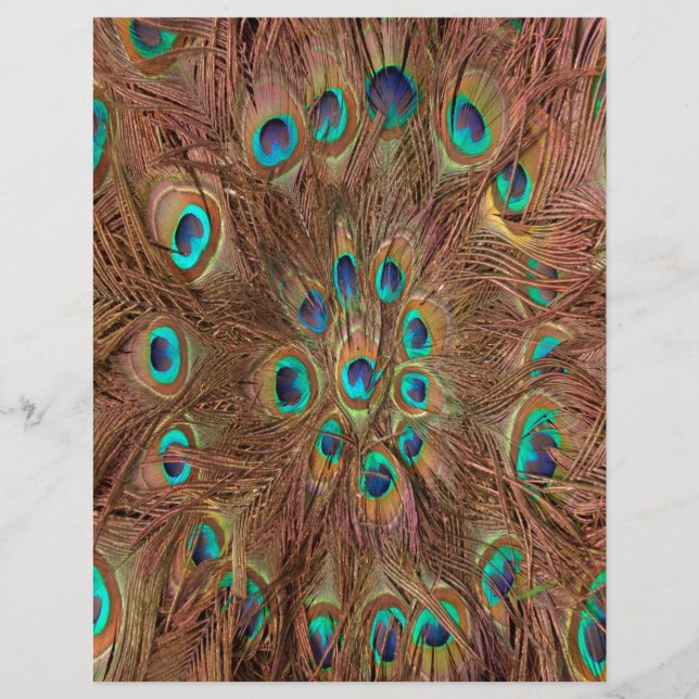 Peacock pattern Background (Front)