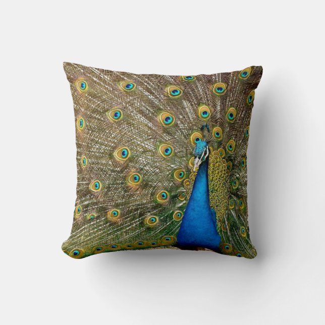 Peacock Pattern Peacock Artwork Painting Animal Ar Cushion (Front)