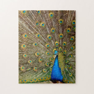 Peacock Pattern Peacock Artwork Painting Animal Ar Jigsaw Puzzle