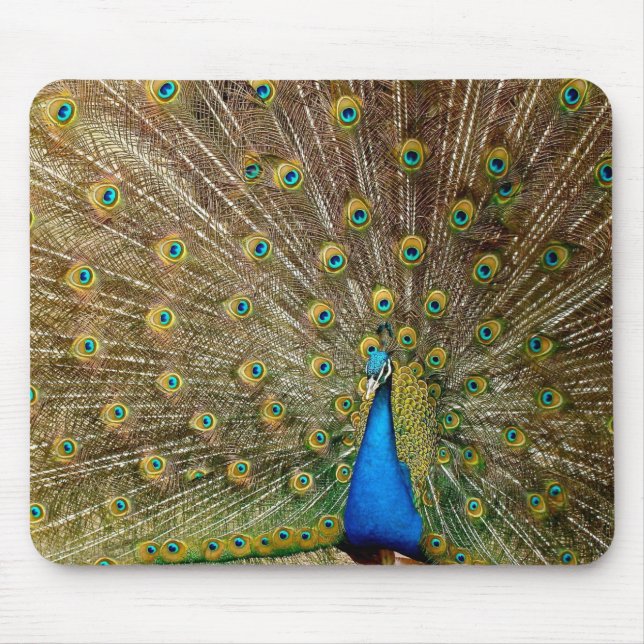 Peacock Pattern Peacock Artwork Painting Animal Ar Mouse Mat (Front)