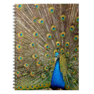 Peacock Pattern Peacock Artwork Painting Animal Ar Notebook
