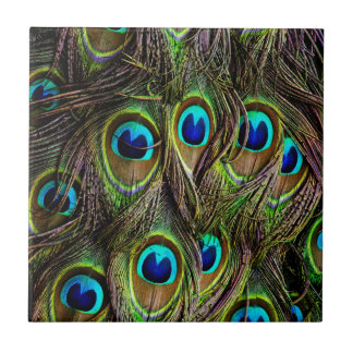 peacock pattern tile