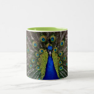 Peacock Peacecock 11oz Two-Tone Coffee Mug
